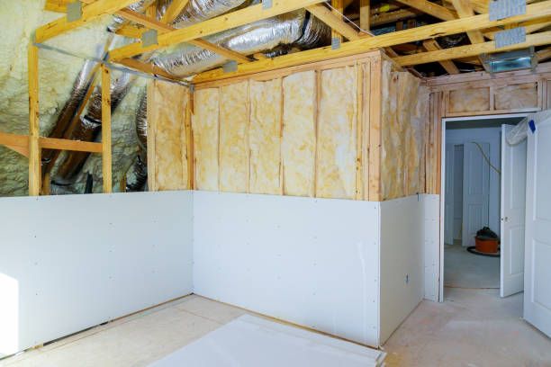 Best Geographic-Specific Insulation Services in Lake Jackson, TX